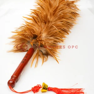 Car Duster front view