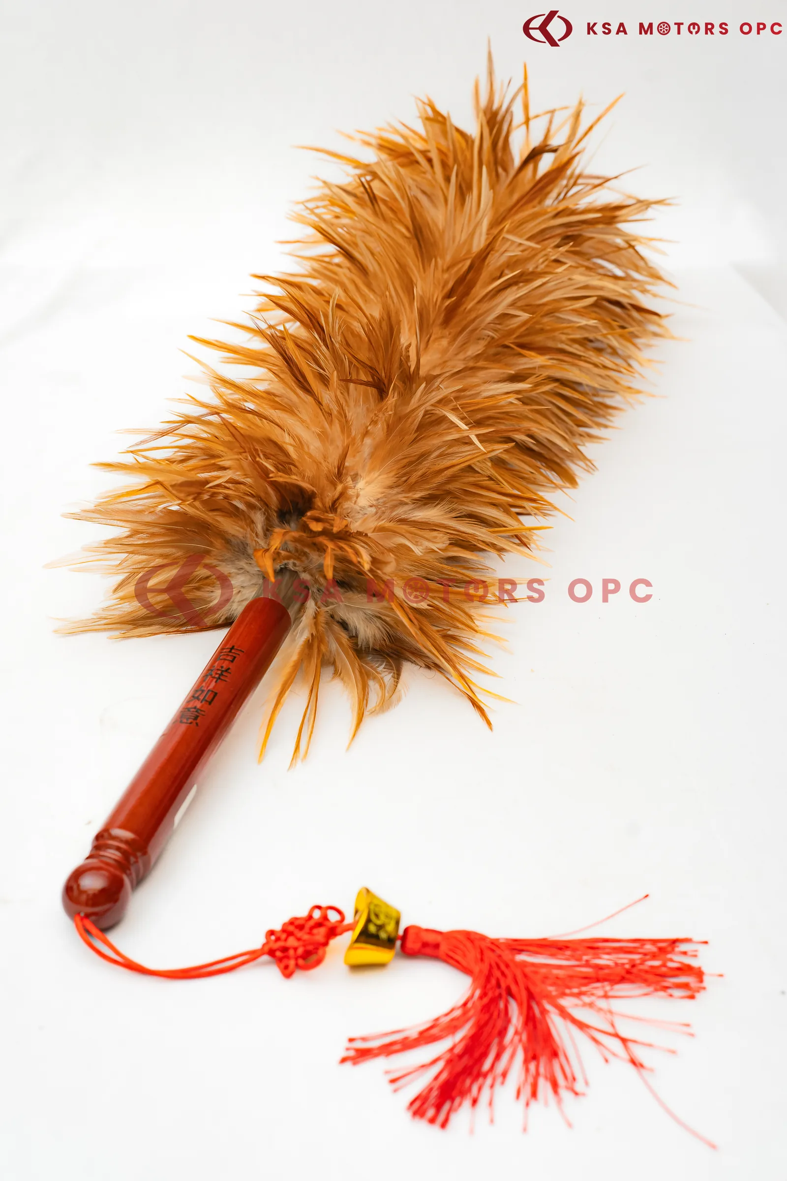 Car Duster front view